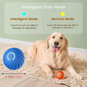 PetTumbly Electric Toy Ball for Kittens and Puppies