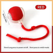 PetTumbly Electric Toy Ball for Kittens and Puppies