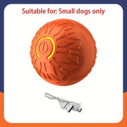 PetTumbly Electric Toy Ball for Kittens and Puppies