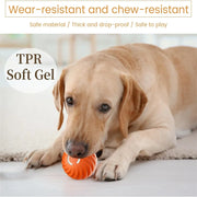 PetTumbly Electric Toy Ball for Kittens and Puppies