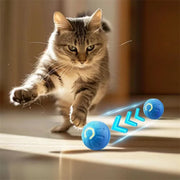 PetTumbly Electric Toy Ball for Kittens and Puppies