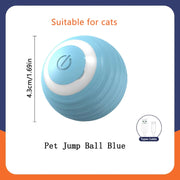 PetTumbly Electric Toy Ball for Kittens and Puppies