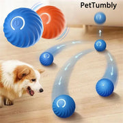 PetTumbly Electric Toy Ball for Kittens and Puppies