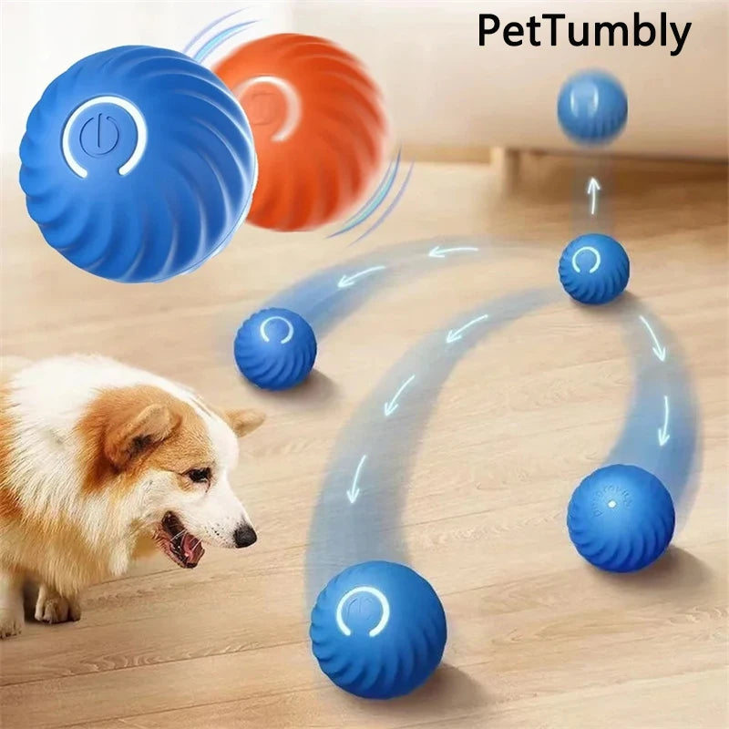 PetTumbly Electric Toy Ball for Kittens and Puppies