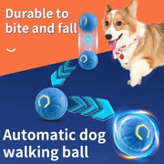 PetTumbly Electric Toy Ball for Kittens and Puppies