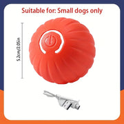 PetTumbly Electric Toy Ball for Kittens and Puppies
