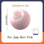 PetTumbly Electric Toy Ball for Kittens and Puppies